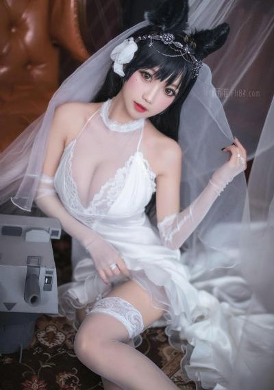 继承者在线观看