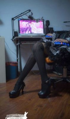 翼舞在线观看免费观看全部节目