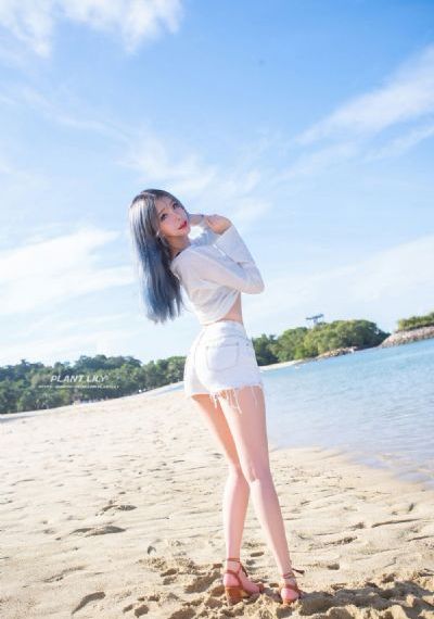 父母爱情电视剧共多少集