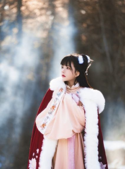 芈月转