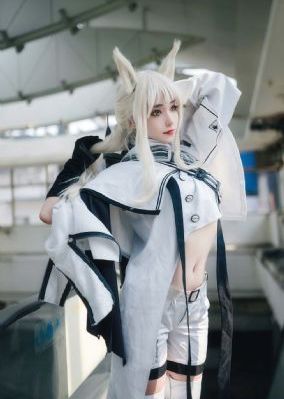 二哈和他的白猫师尊电视剧